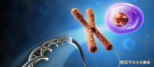 基因組垃圾場(chǎng)中的進(jìn)化密鑰 科學(xué)家發(fā)現(xiàn)隱藏的重要基因