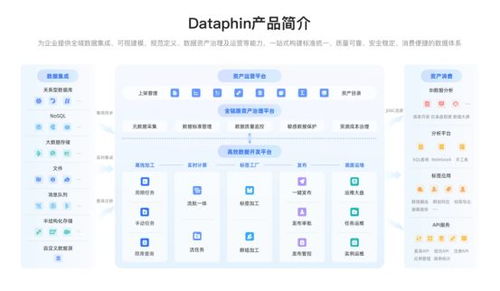 企業數據系統建設 治理價值凸顯，2025主流產品與服務全景展望